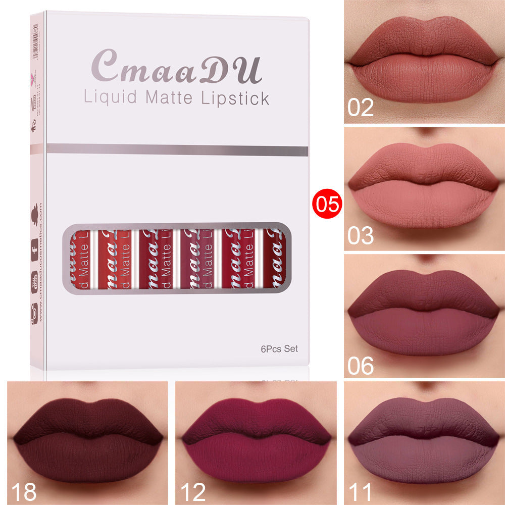Matte & Waterproof Lip Gloss – 6 Colors