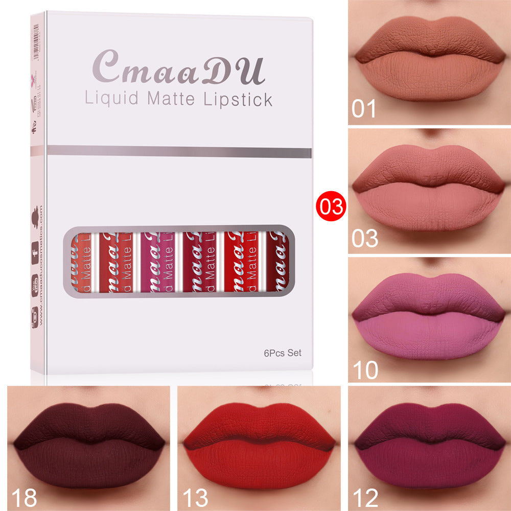 Matte & Waterproof Lip Gloss – 6 Colors