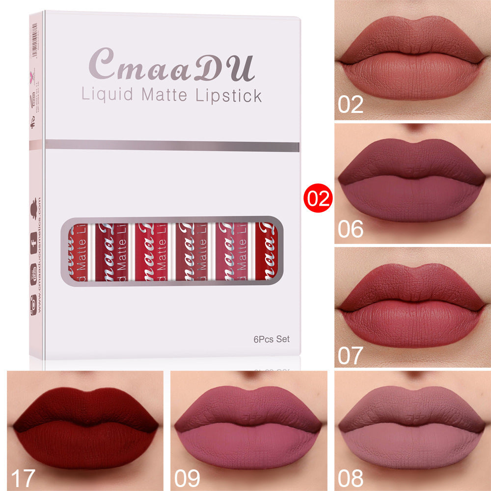 Matte & Waterproof Lip Gloss – 6 Colors