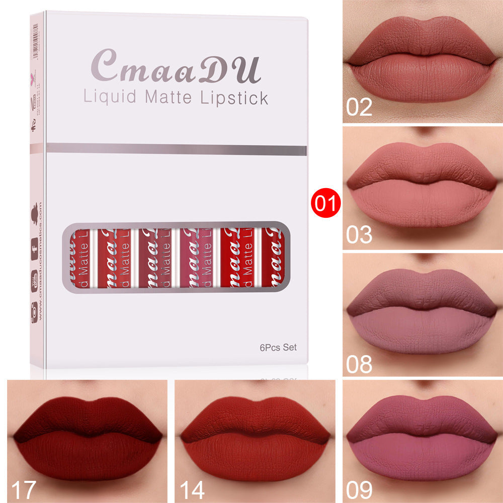 Matte & Waterproof Lip Gloss – 6 Colors