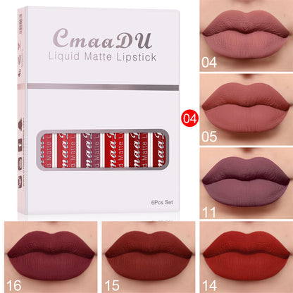 Matte & Waterproof Lip Gloss – 6 Colors