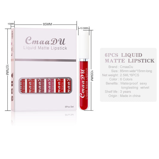 Matte & Waterproof Lip Gloss – 6 Colors